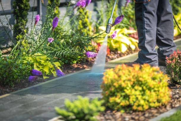 Best Fence Cleaning and Maintenance in Worthgton, IN